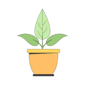 Jeune plante verte en pot
